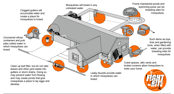 diagram of mosquito breeding sites around a house
